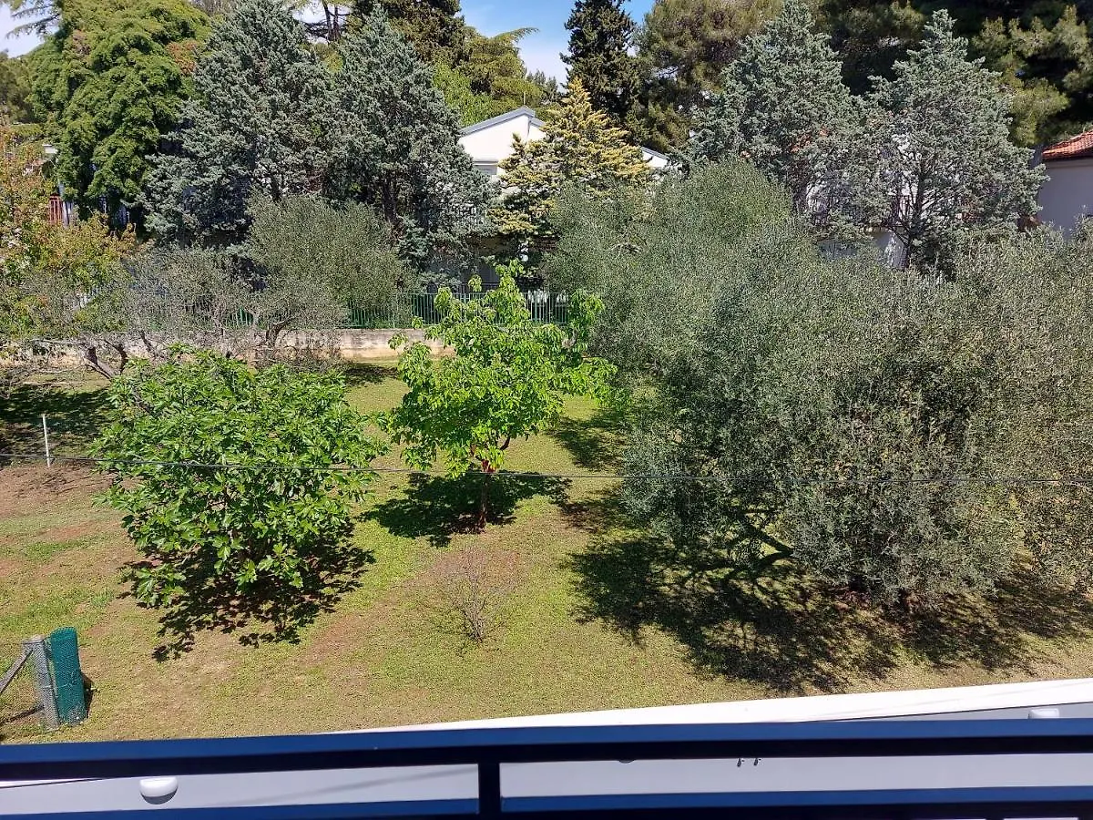 Villa M & D Apartman Sveti Filip i Jakov